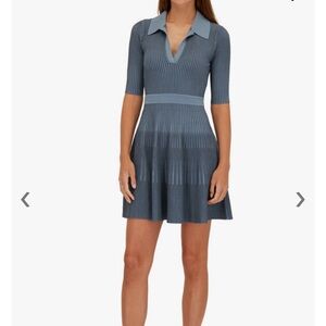 Jonathan SIMKHAI
Patricia Slate Compact Polo Mini Dress